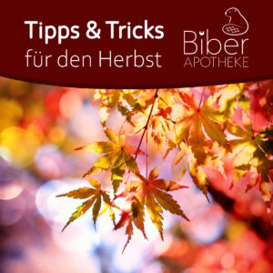 Herbstliches Bild mit bunten Ahornblättern im Sonnenlicht, darüber die Aufschrift „Tipps & Tricks für den Herbst“ und das Logo der Biber Apotheke.
