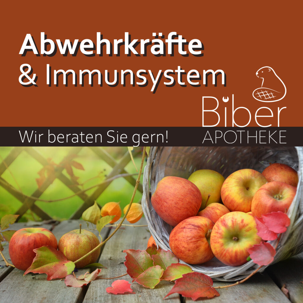 Das Bild zeigt eine Werbung der Biber-Apotheke zum Thema Abwehrkräfte und Immunsystem, untermalt mit einem herbstlichen Motiv aus Äpfeln in einem Korb.