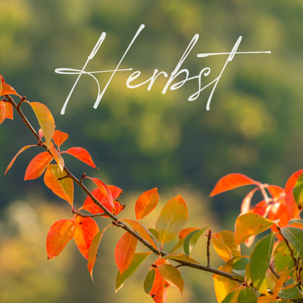 Ein herbstlicher Zweig mit orangefarbenen Blättern vor grünem Hintergrund und dem Schriftzug „Herbst“.