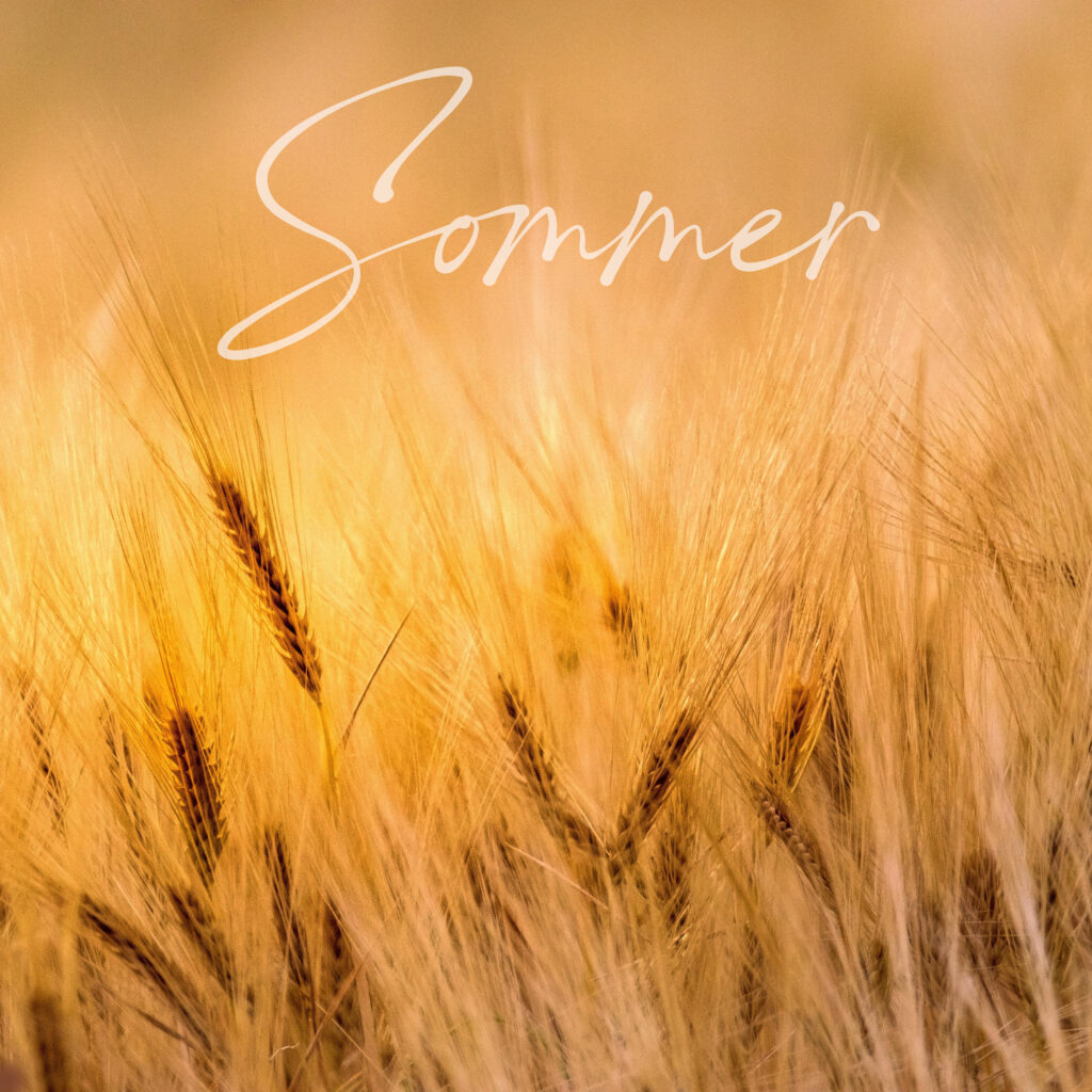 Ein reifes, goldenes Getreidefeld im warmen Sommerlicht mit dem eingeblendeten Schriftzug ‚Sommer‘.